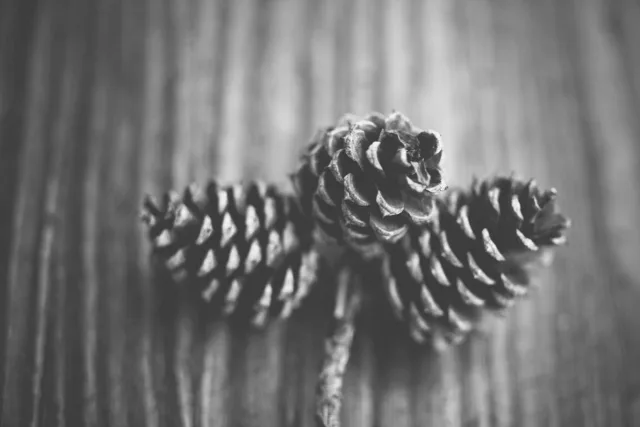 Şehirde ücretsiz internet noktaları artırılıyor